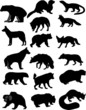 Collection of forest animals. Bear, wolf, foxes, and many others