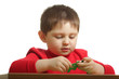Boy assembling puzzle Boy assembling puzzle