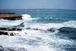 Foto: Sea beauty Sea beauty