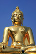 Golden Buddha