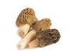 Morels isolated on white background