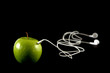 Apple Headphones