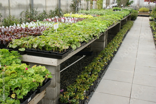 garden centre garden centre