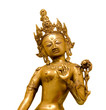 Tara