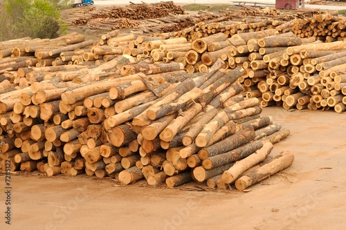 Photo: Stacks and piles of logs at a lumberyard. Stacks and piles of logs at a lumberyard.