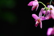 Photo: Tranquility Tranquility