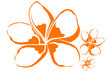 fleur de frangipanier 2