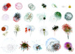 Photo: Fireworks Extravaganza on white Fireworks Extravaganza on white
