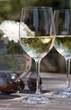 white wine glass on patio table - aviators, flowers, trees in ba
