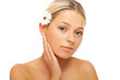Daily Spa