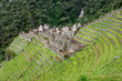 Huinay Huayna at the Inca Trail