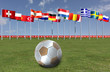 Fußball EM 2008 mit Nationalflaggen