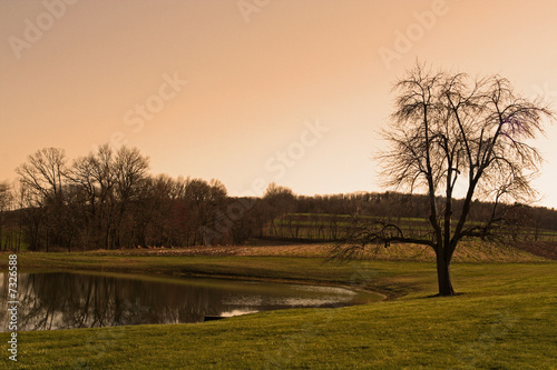 Photo: a quiet place a quiet place