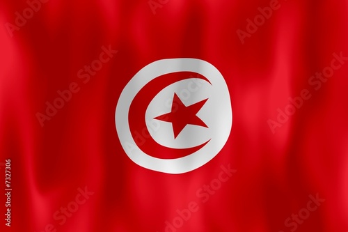 flag of tunisie
