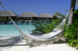 Hammock
