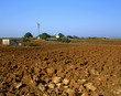 Dry Field