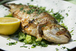 Grilled trout on plate Grilled trout on plate