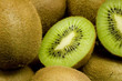 Kiwi Detail