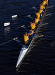 Photographie : an aerial view of a rowing crew in action.