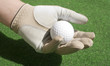 balle de golf dans la main balle de golf dans la main