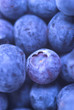 Blueberries