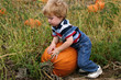 Picking a Pumpkin