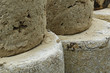 fromage de salers fromage de salers