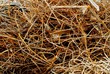 Texture - Iron