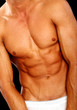 muscular male torso