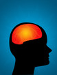 Brain Brain