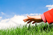 Photo: hand touching the grass hand touching the grass