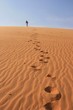 Desert Walk