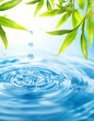 Water drops folling from a bamboo leaf Water drops folling from a bamboo leaf