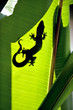 Nature Gecko Nature Gecko