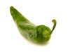 New Mexico Green Chile New Mexico Green Chile