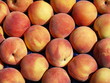 Peach Background