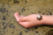 Crab Walk