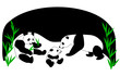 Panda Family