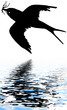 oiseau transportant des brindilles dans son bec