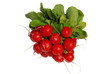 radischen 01