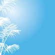 Summer Holiday