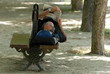 Lecteur sur banc