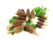 Morels Morels