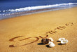 Summer, seashell, sand and the ocean