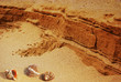 Hot sand with seashell