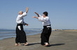 aikido sur la plage