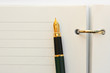Fountain pen from above