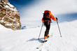 ski climber ski climber