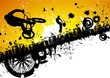 BMX riders in a city background