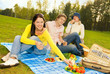 Photo: Friends at picnic Friends at picnic
